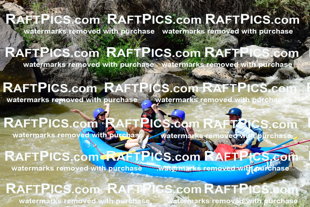 009766_Raftpics_August-18__NEW_WAVE__Racecourse_PM_KA_Rui_KLA9126