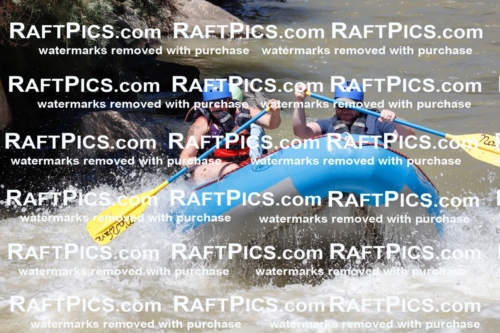 028842_RaftPics_August_19_NewWave_Racecourse_PM_Orlando_TC_