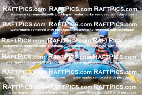 028849_RaftPics_August_19_NewWave_Racecourse_PM_Orlando_TC_