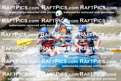 028850_RaftPics_August_19_NewWave_Racecourse_PM_Orlando_TC_