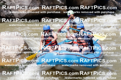 028852_RaftPics_August_19_NewWave_Racecourse_PM_Orlando_TC_