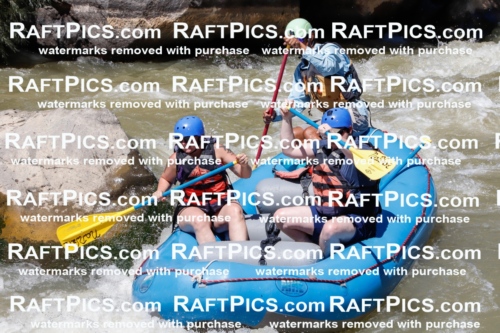 028853_RaftPics_August_19_NewWave_Racecourse_PM_Orlando_TC_