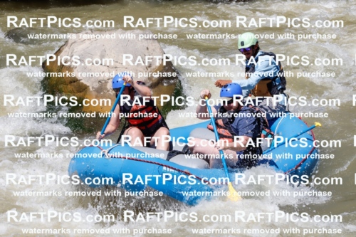 028855_RaftPics_August_19_NewWave_Racecourse_PM_Orlando_TC_