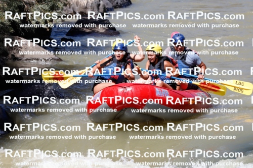 028817_RaftPics_August_19_LosRios_Racecourse_PM_Mordy_TC_