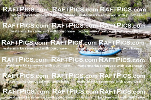 028982_RaftPics_August_20_NewWave_Racecourse_PM_Orlando_TC_