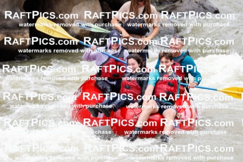 029103_RaftPics_August_22_LosRios_Racecourse_AM_Brodie_TC_