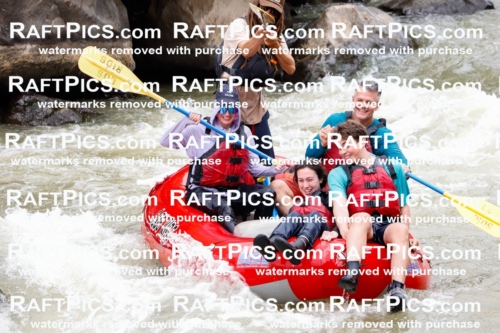 029106_RaftPics_August_22_LosRios_Racecourse_AM_Brodie_TC_