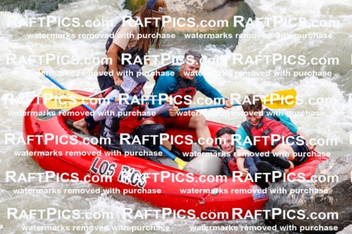 029117_RaftPics_August_22_LosRios_Racecourse_AM_Brodie_TC_