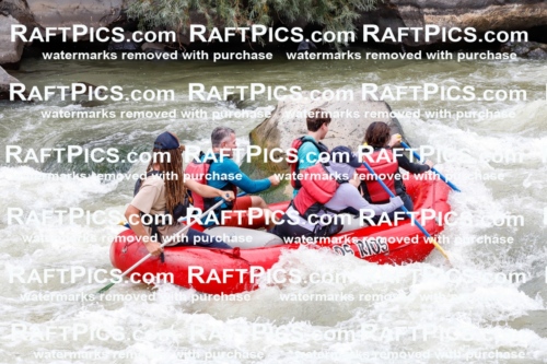 029119_RaftPics_August_22_LosRios_Racecourse_AM_Brodie_TC_