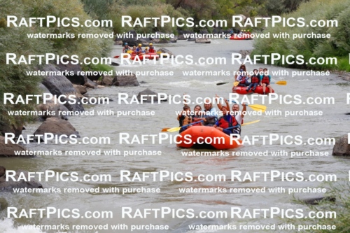 029193_RaftPics_August_22_LosRios_Racecourse_AM_Zach_TC_