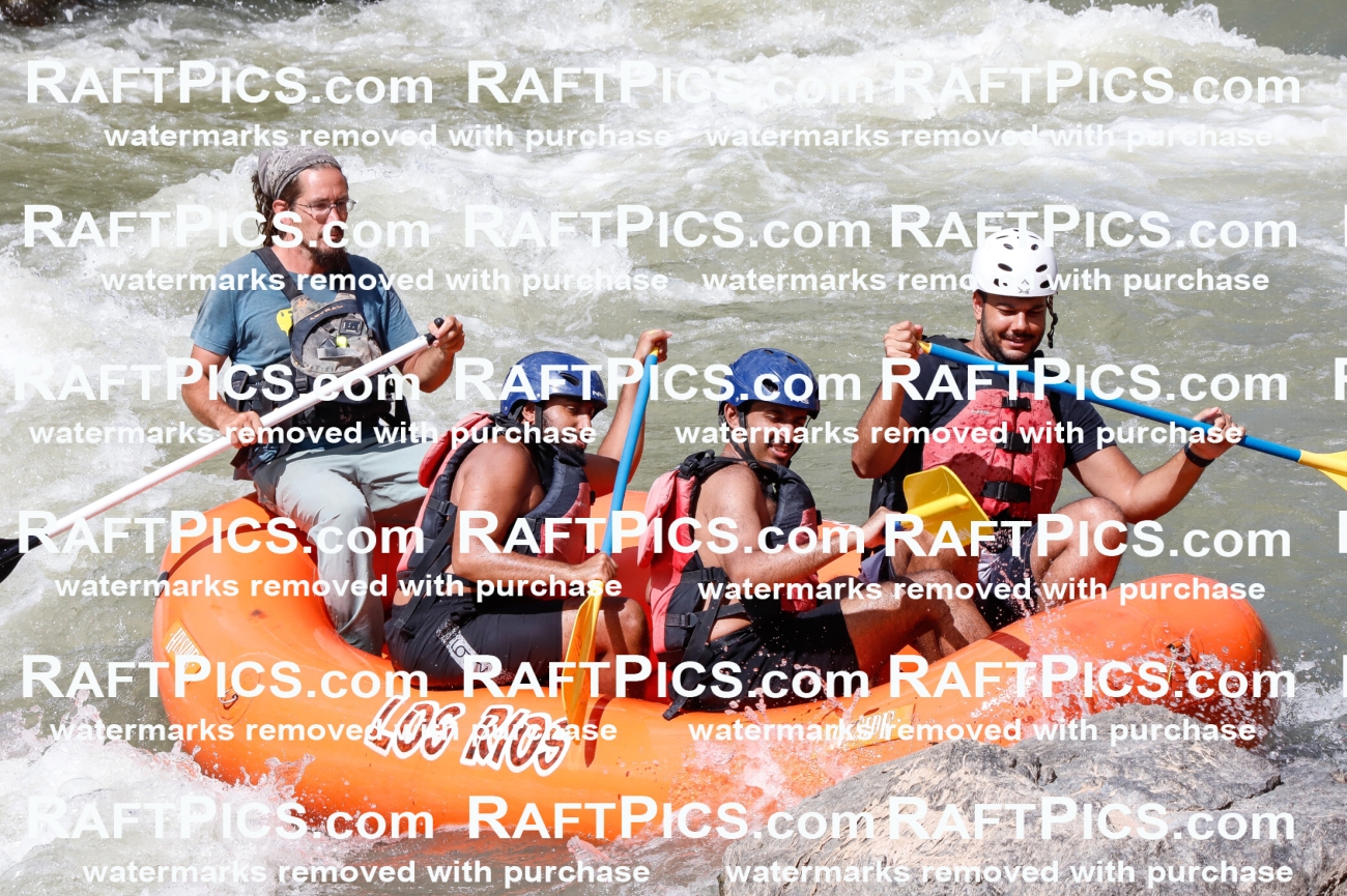 029235_RaftPics_August_22_LosRios_Racecourse_PM_Shay_TC_