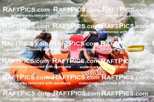 029238_RaftPics_August_22_LosRios_Racecourse_PM_Shay_TC_