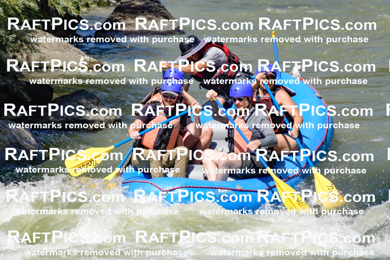 009818_Raftpics_August-24__NEW_WAVE__Racecourse_pM_KA_Elias_KLA9278