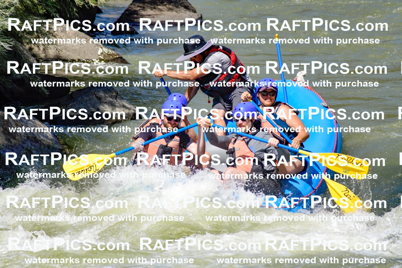 009819_Raftpics_August-24__NEW_WAVE__Racecourse_pM_KA_Elias_KLA9279