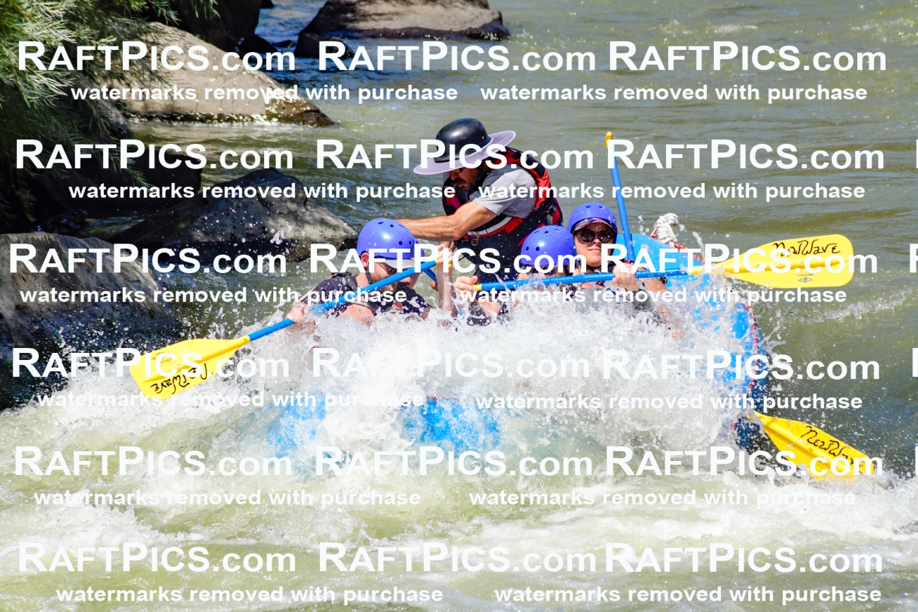 009820_Raftpics_August-24__NEW_WAVE__Racecourse_pM_KA_Elias_KLA9280