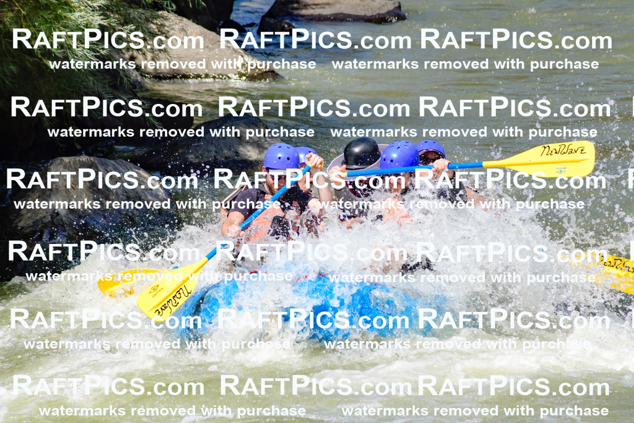 009821_Raftpics_August-24__NEW_WAVE__Racecourse_pM_KA_Elias_KLA9281