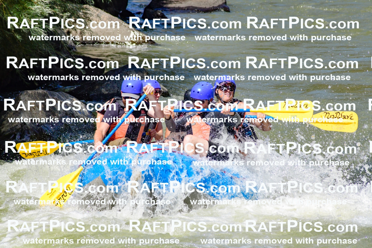 009822_Raftpics_August-24__NEW_WAVE__Racecourse_pM_KA_Elias_KLA9282