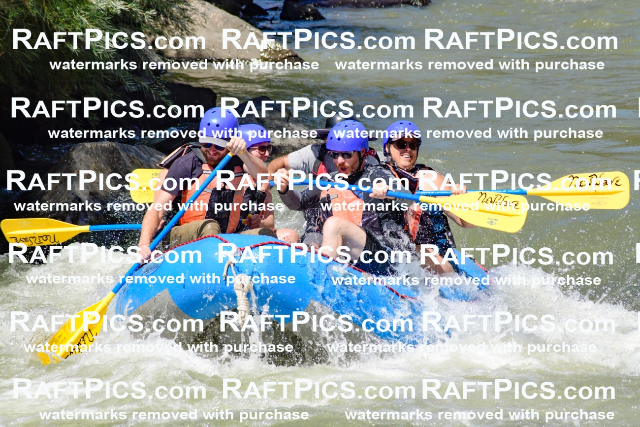 009823_Raftpics_August-24__NEW_WAVE__Racecourse_pM_KA_Elias_KLA9283