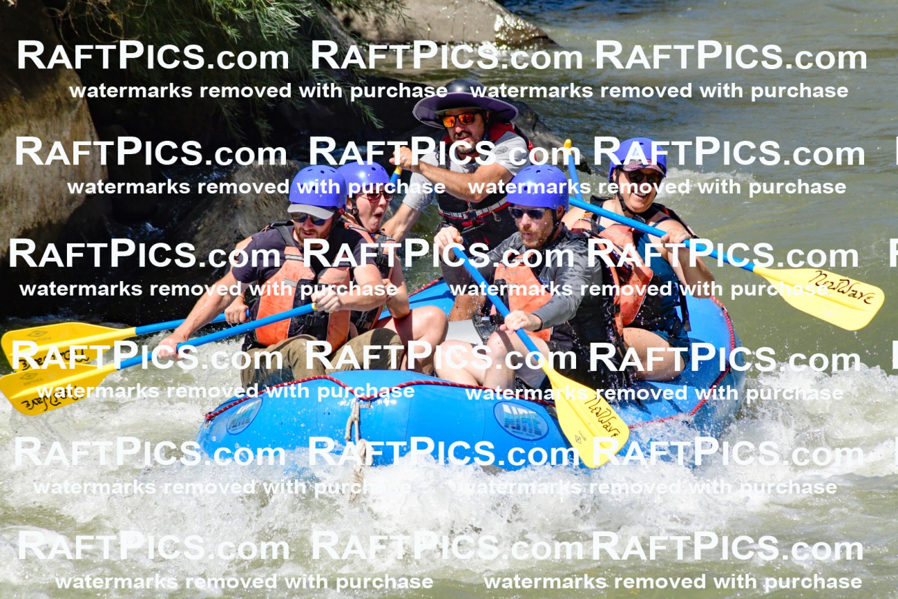 009825_Raftpics_August-24__NEW_WAVE__Racecourse_pM_KA_Elias_KLA9285