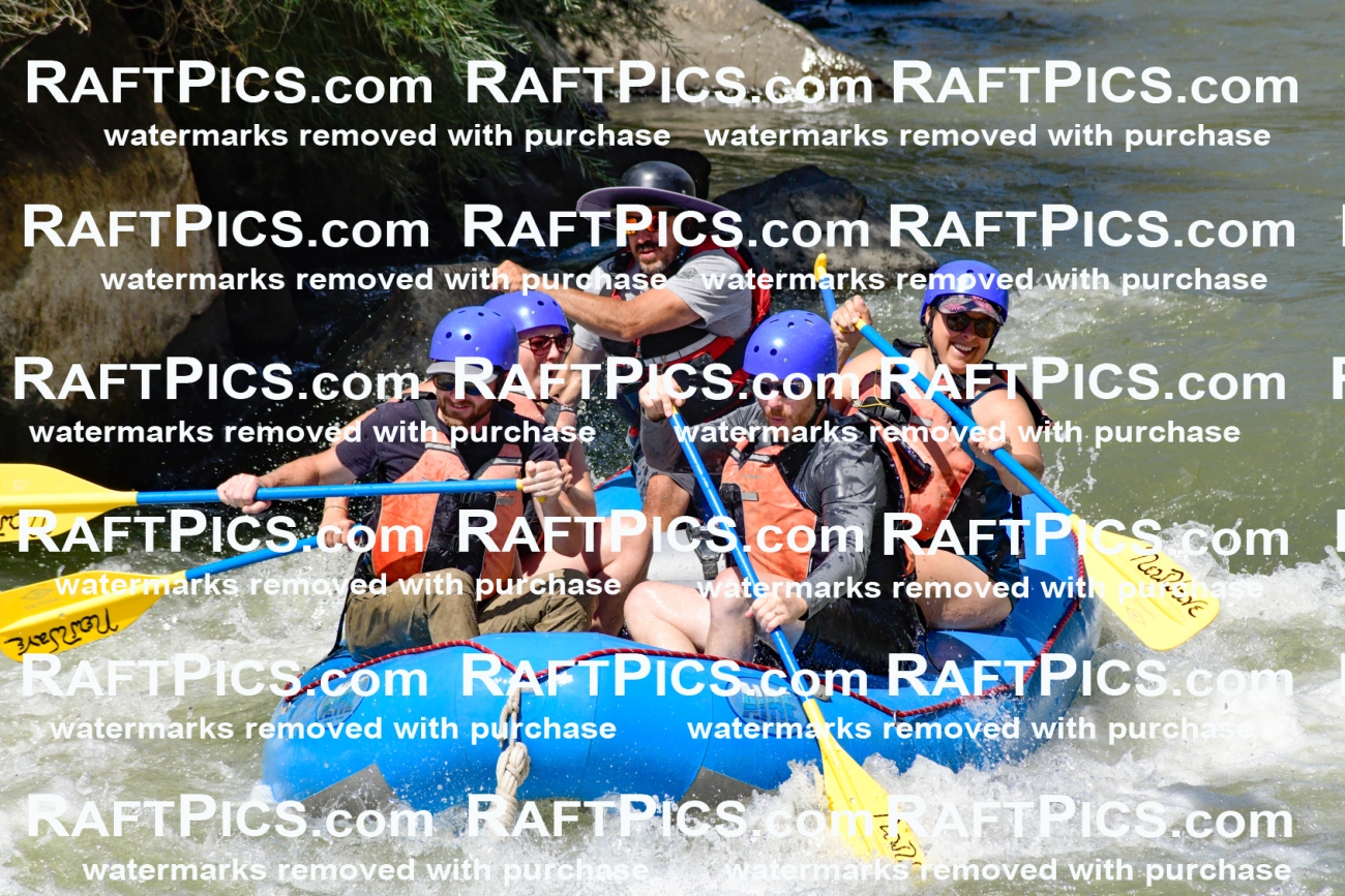 009826_Raftpics_August-24__NEW_WAVE__Racecourse_pM_KA_Elias_KLA9286