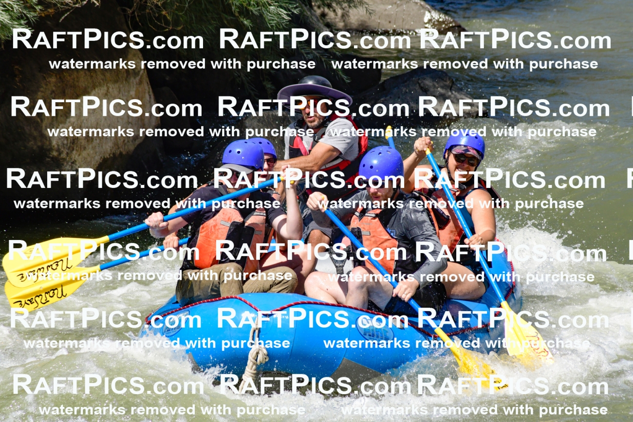 009827_Raftpics_August-24__NEW_WAVE__Racecourse_pM_KA_Elias_KLA9287