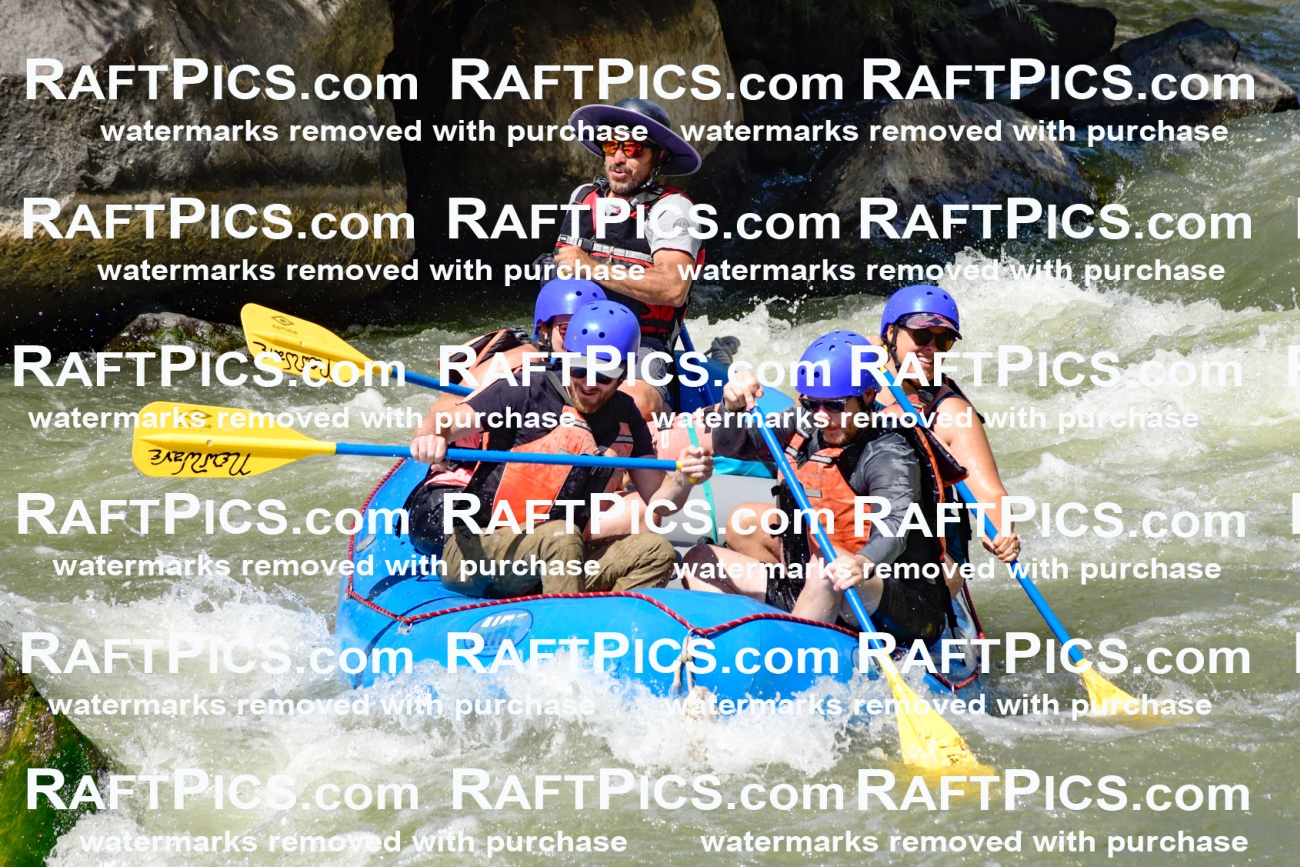 009832_Raftpics_August-24__NEW_WAVE__Racecourse_pM_KA_Elias_KLA9292