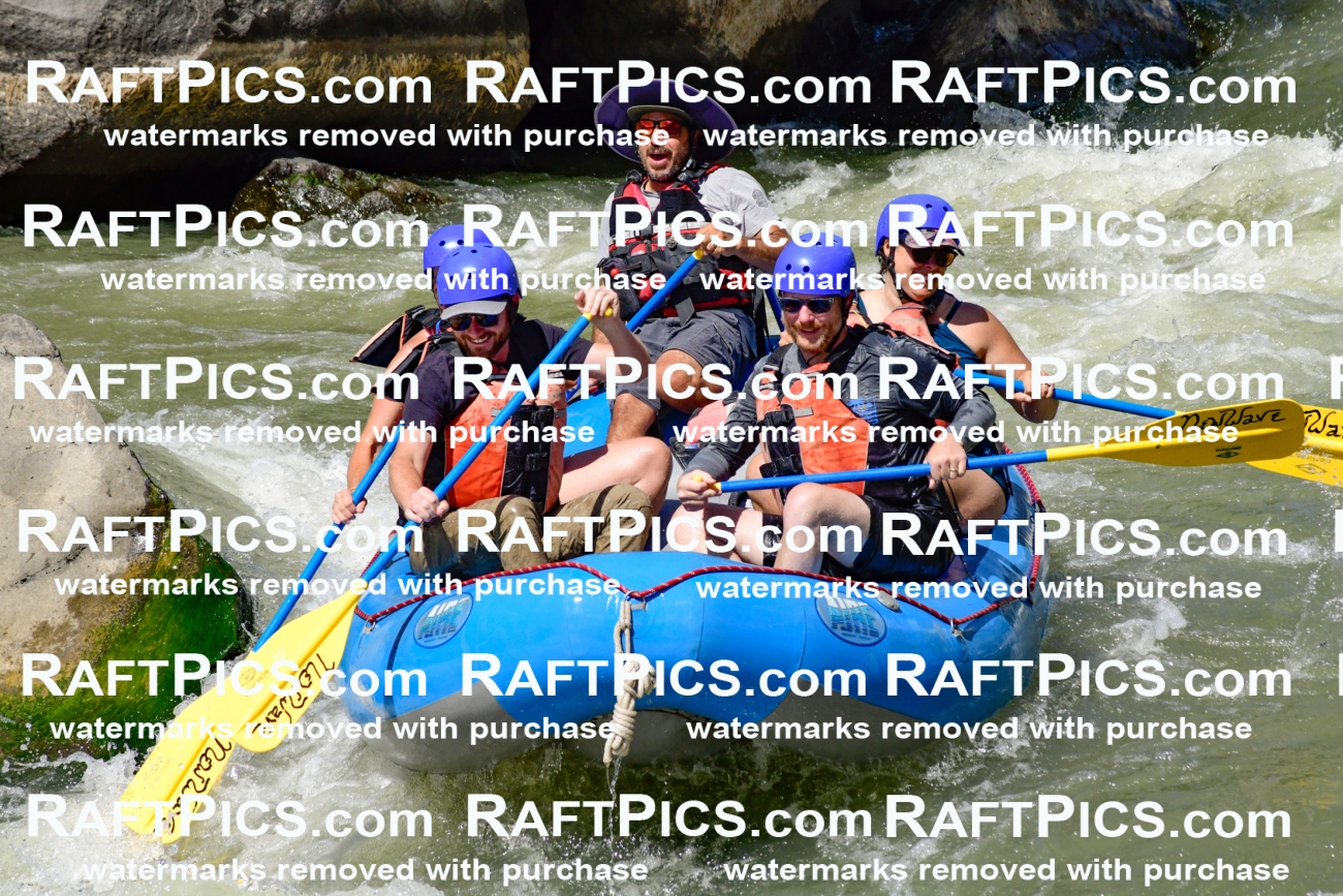 009833_Raftpics_August-24__NEW_WAVE__Racecourse_pM_KA_Elias_KLA9293