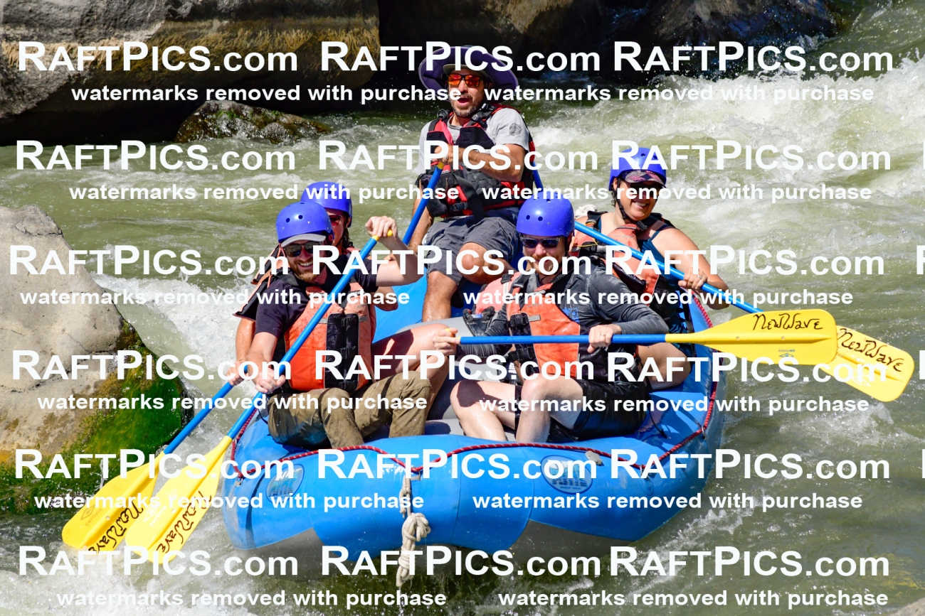 009834_Raftpics_August-24__NEW_WAVE__Racecourse_pM_KA_Elias_KLA9294