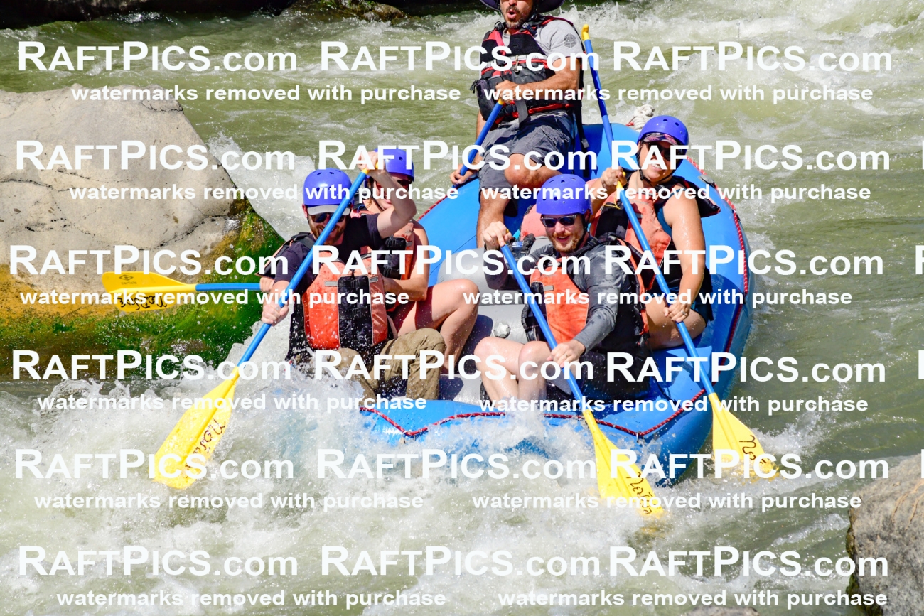 009835_Raftpics_August-24__NEW_WAVE__Racecourse_pM_KA_Elias_KLA9295