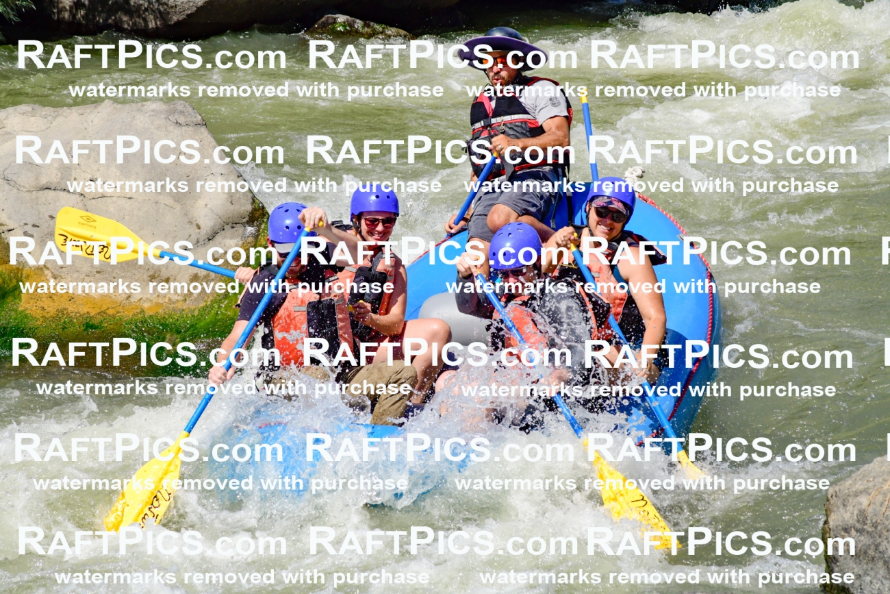 009836_Raftpics_August-24__NEW_WAVE__Racecourse_pM_KA_Elias_KLA9296