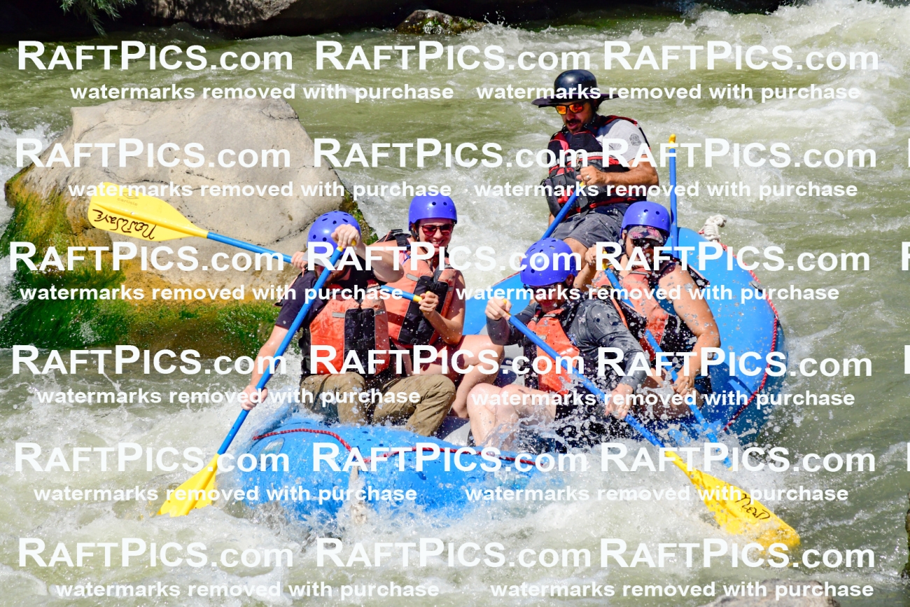 009837_Raftpics_August-24__NEW_WAVE__Racecourse_pM_KA_Elias_KLA9297