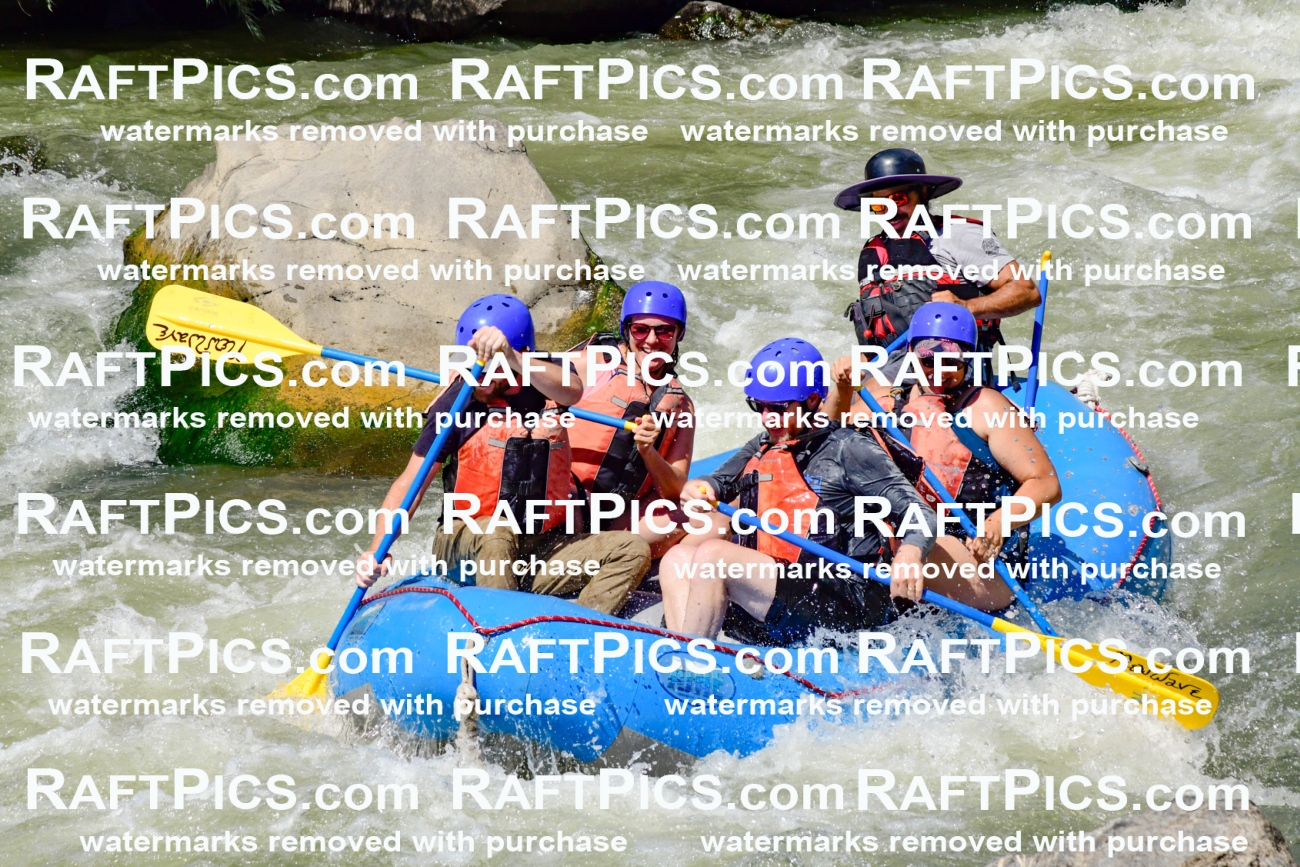 009838_Raftpics_August-24__NEW_WAVE__Racecourse_pM_KA_Elias_KLA9298