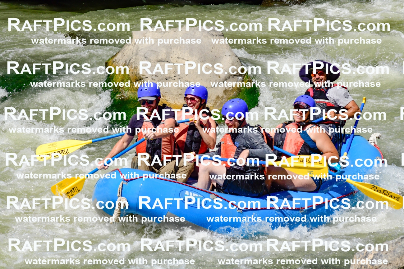 009840_Raftpics_August-24__NEW_WAVE__Racecourse_pM_KA_Elias_KLA9300