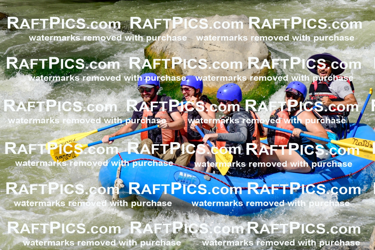 009841_Raftpics_August-24__NEW_WAVE__Racecourse_pM_KA_Elias_KLA9301