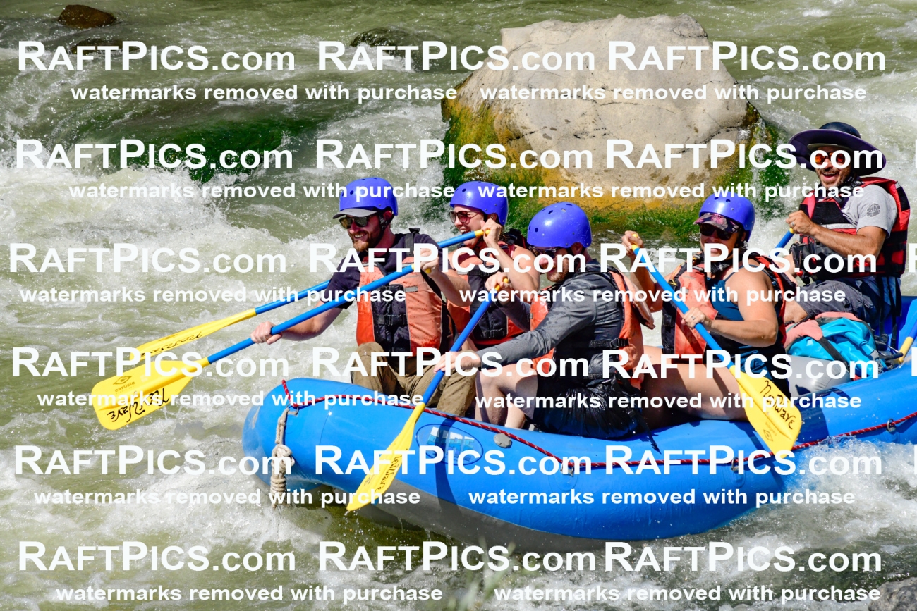 009842_Raftpics_August-24__NEW_WAVE__Racecourse_pM_KA_Elias_KLA9302