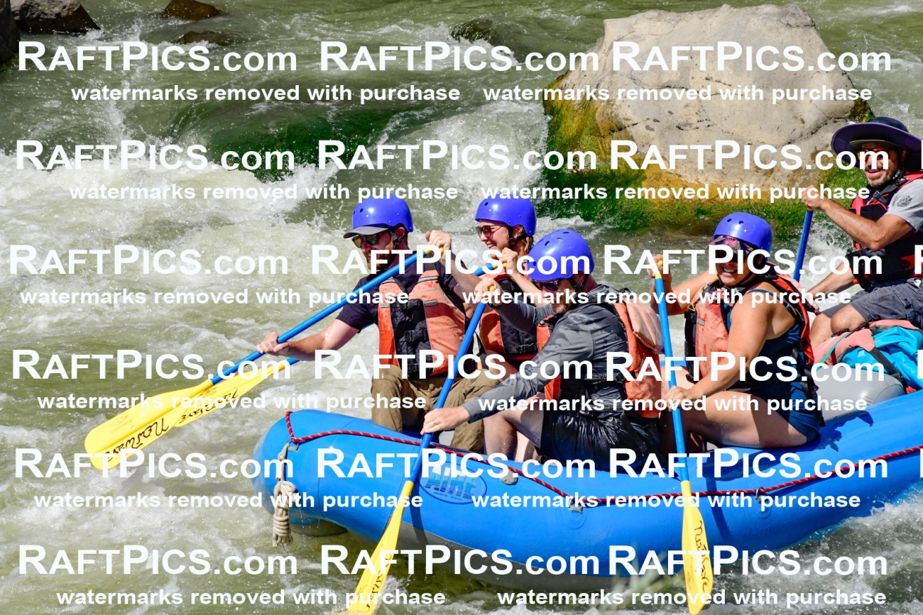 009843_Raftpics_August-24__NEW_WAVE__Racecourse_pM_KA_Elias_KLA9303