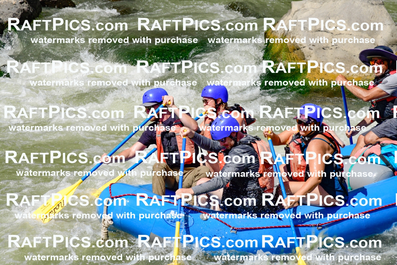 009844_Raftpics_August-24__NEW_WAVE__Racecourse_pM_KA_Elias_KLA9304