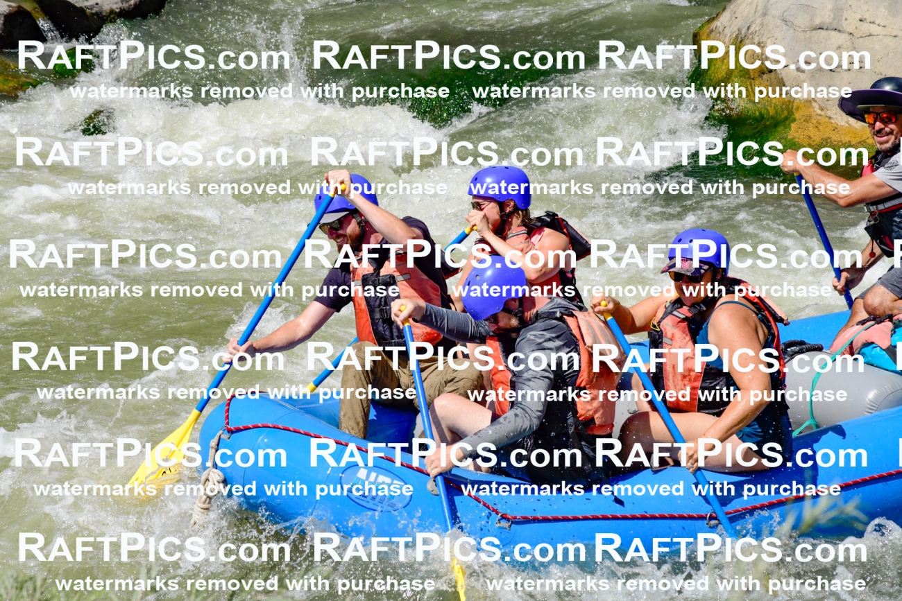 009845_Raftpics_August-24__NEW_WAVE__Racecourse_pM_KA_Elias_KLA9305