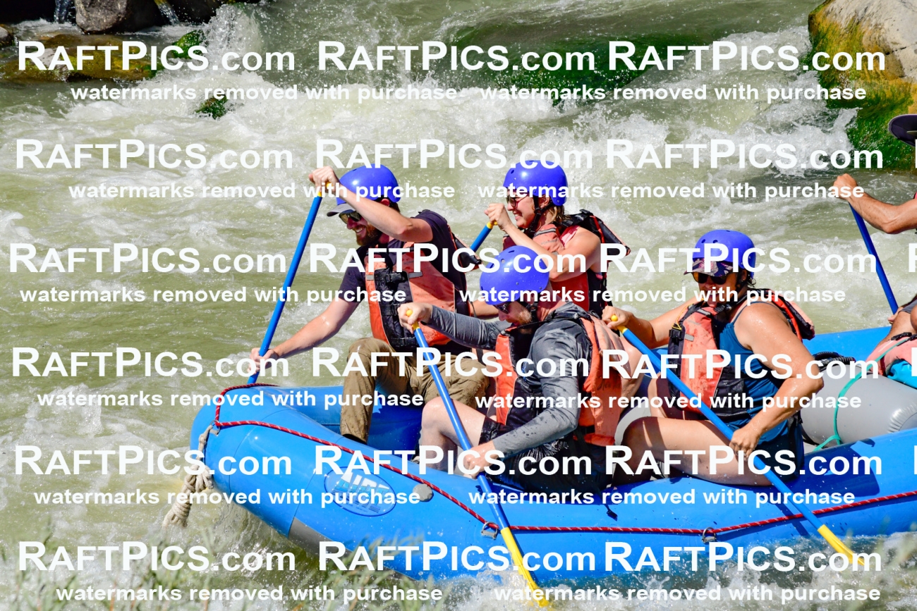 009846_Raftpics_August-24__NEW_WAVE__Racecourse_pM_KA_Elias_KLA9306