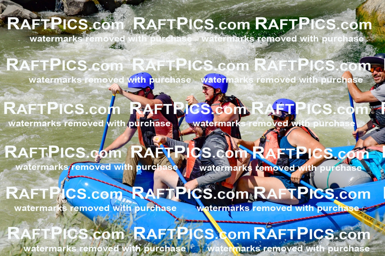 009847_Raftpics_August-24__NEW_WAVE__Racecourse_pM_KA_Elias_KLA9307