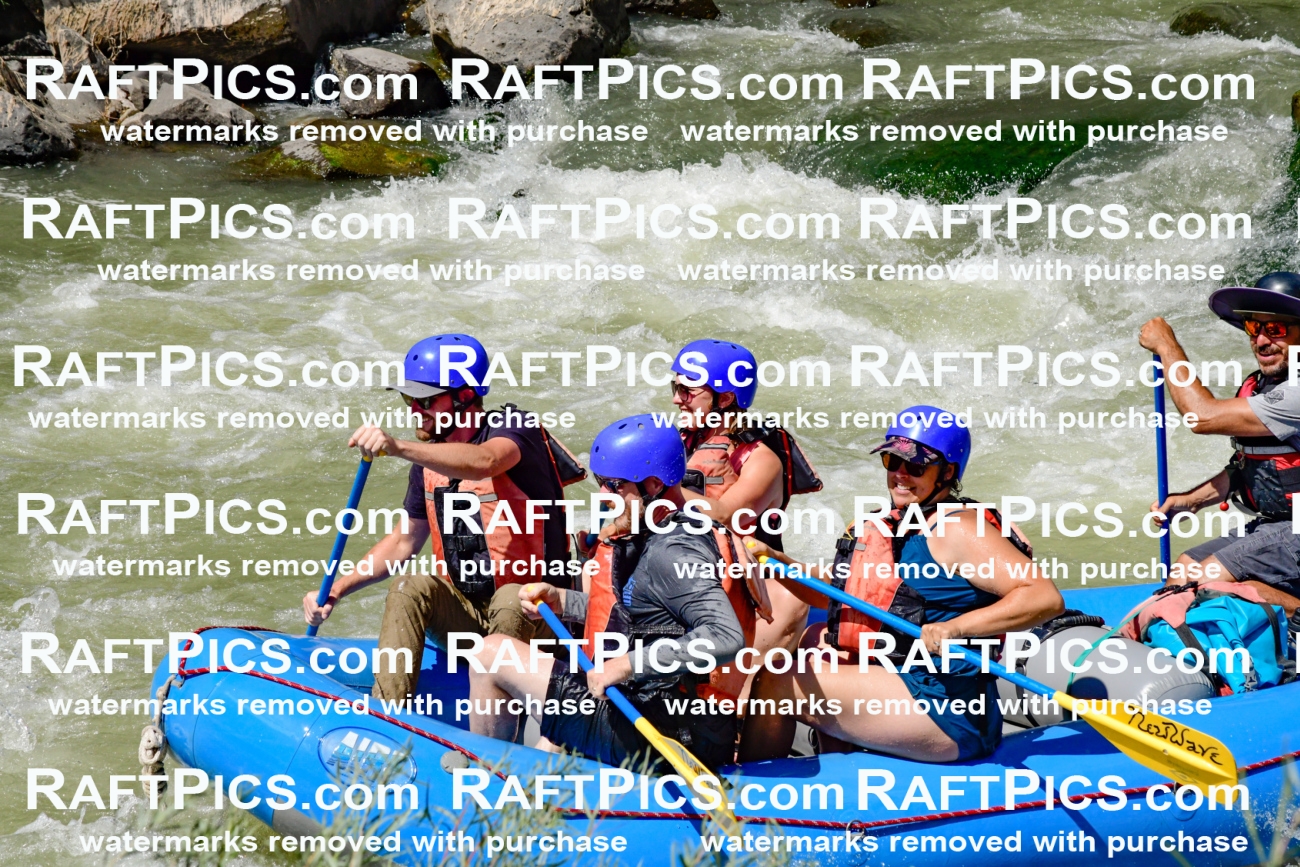 009848_Raftpics_August-24__NEW_WAVE__Racecourse_pM_KA_Elias_KLA9308