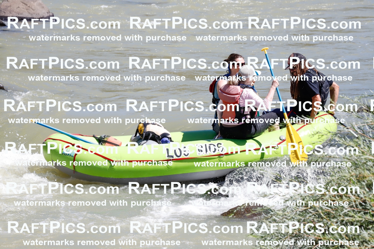 029411_RaftPics_August_24_LosRios_Racecourse_AM_Brodie_TC_