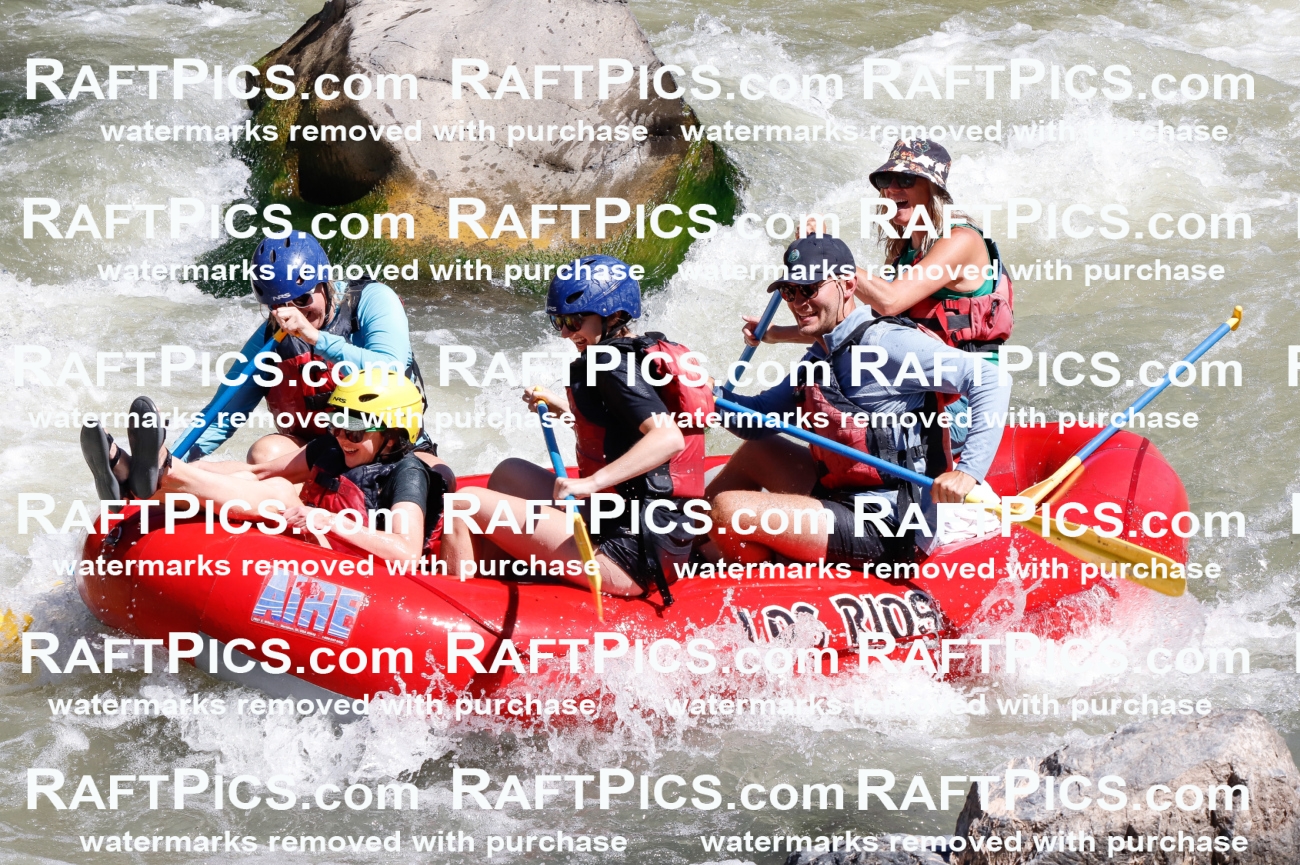 029437_RaftPics_August_24_LosRios_Racecourse_AM_Leslie_TC_