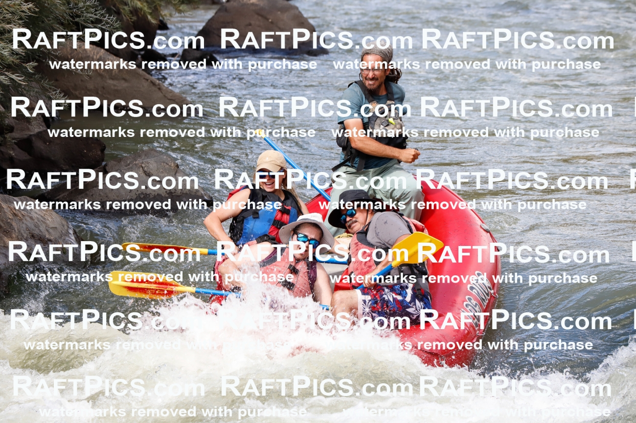 029539_RaftPics_August_24_LosRios_Racecourse_PM_Shay_TC_