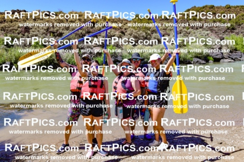 009855_Raftpics_August-24__LOS_RIOS__Racecourse_PM_KA_Group_KLA9276