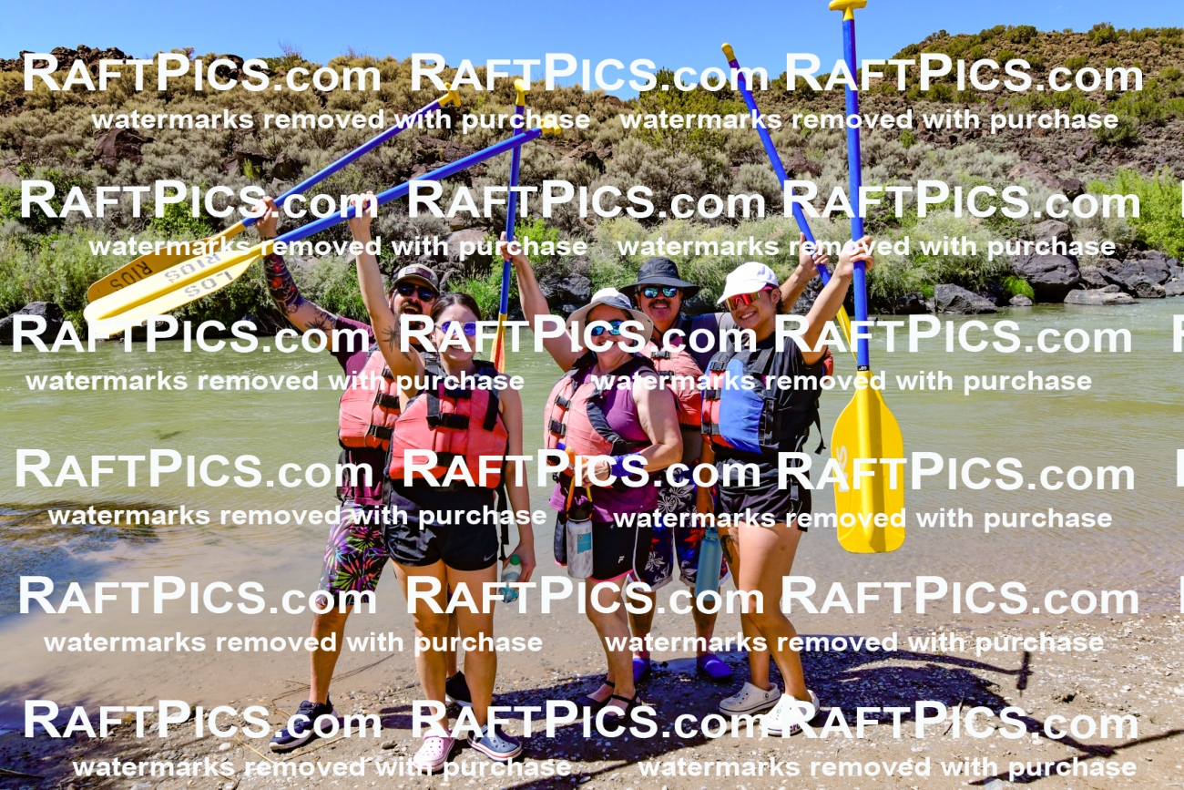 009856_Raftpics_August-24__LOS_RIOS__Racecourse_PM_KA_Group_KLA9277