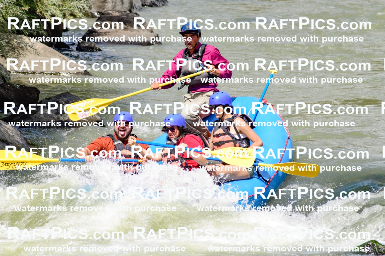 009973_Raftpics_August-25__NEW_WAVE__Racecourse_PM_KA_Rui