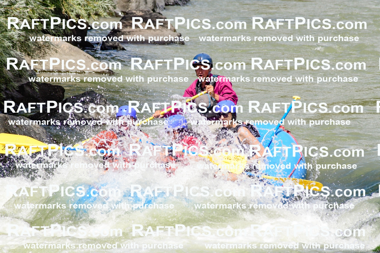 009974_Raftpics_August-25__NEW_WAVE__Racecourse_PM_KA_Rui