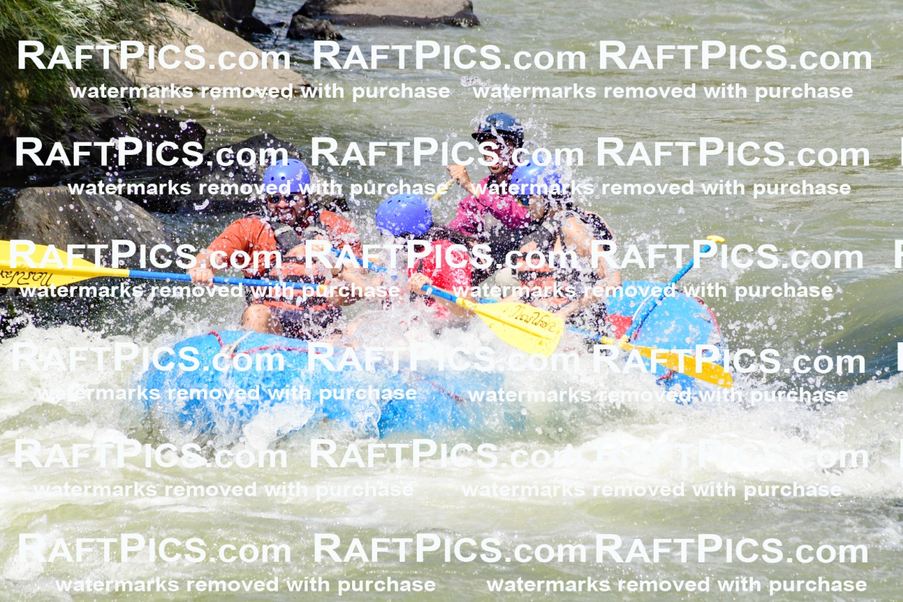 009975_Raftpics_August-25__NEW_WAVE__Racecourse_PM_KA_Rui