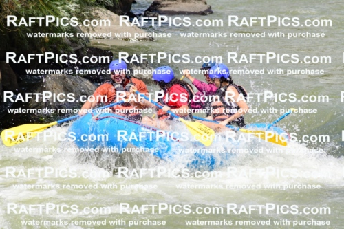 009976_Raftpics_August-25__NEW_WAVE__Racecourse_PM_KA_Rui